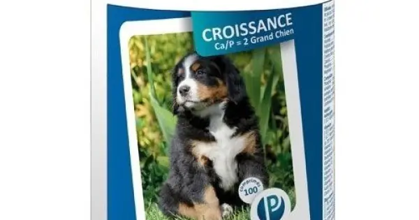 Supliment nutritiv pentru caini cu greutate 25 kg+, Pet Phos Croissance Ca/P 2 Grand Chien, 100 tab Comandă acum